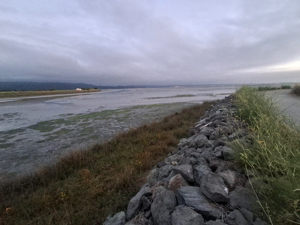 Sundown at the Marsh