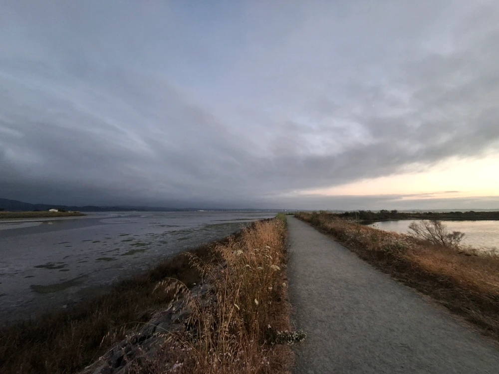 Sundown at the Marsh