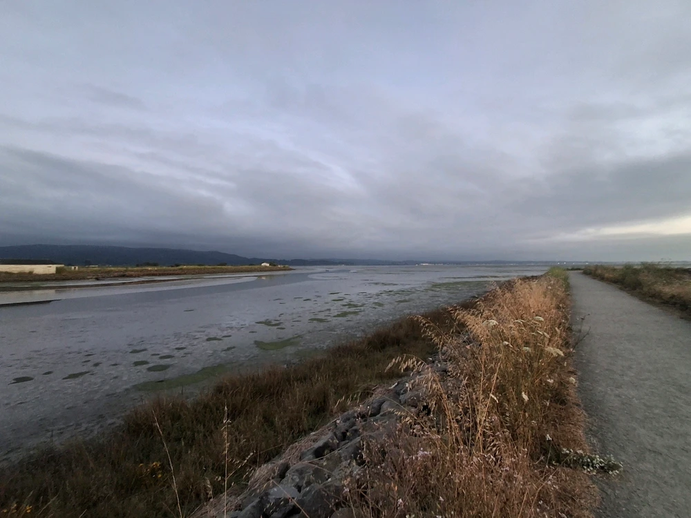 Sundown at the Marsh