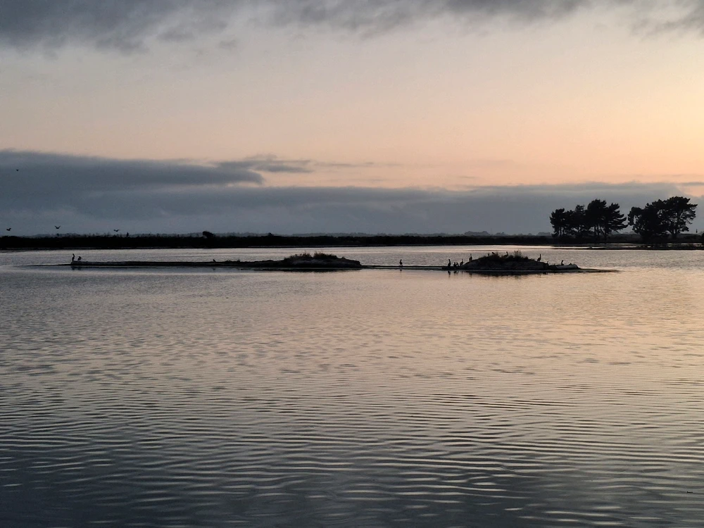 Sundown at the Marsh