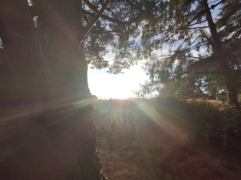 Sundown at the Marsh