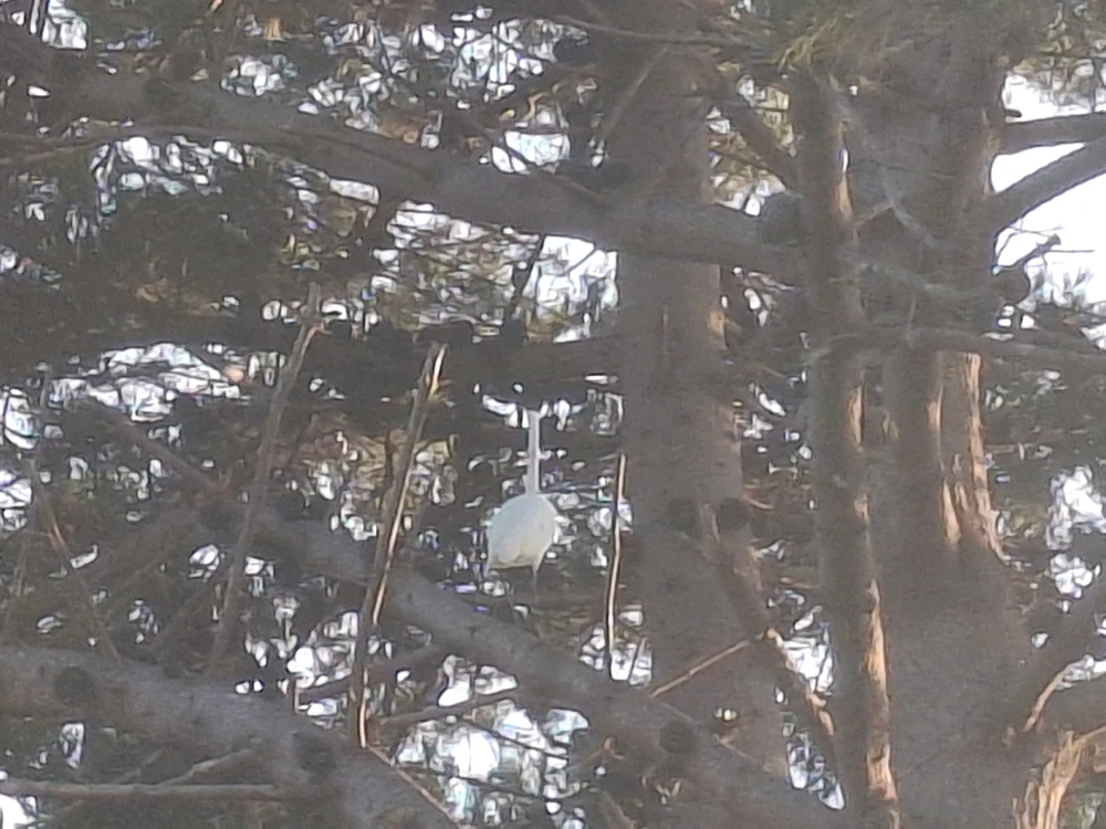 Sundown at the Marsh