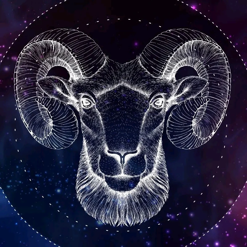 Erbay tarafından yüklenen GIF