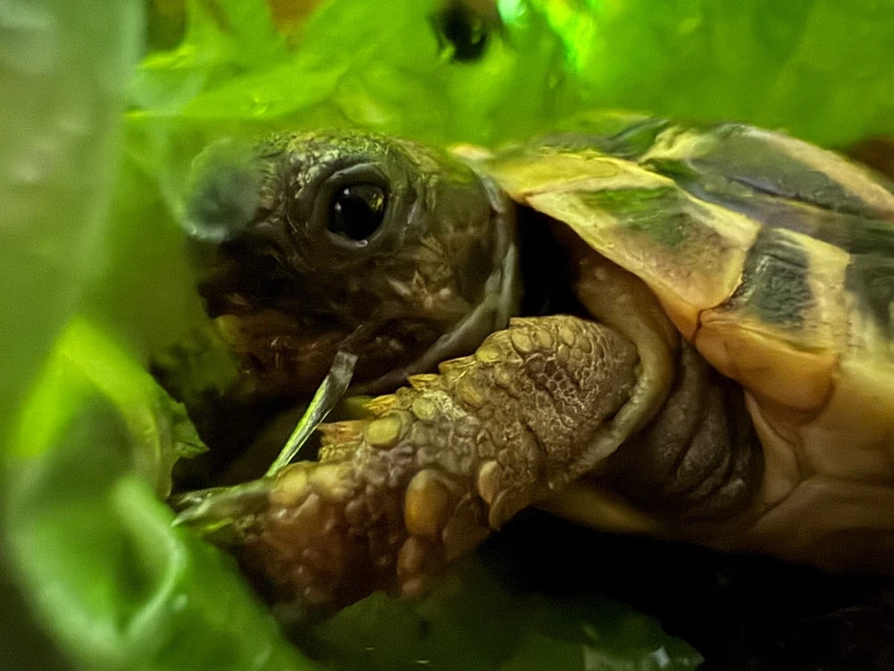 GIF hochgeladen von Angi