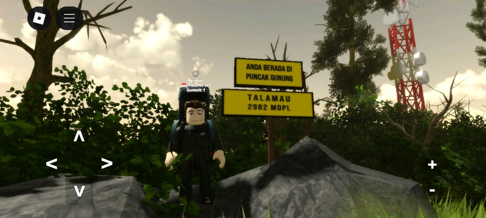 Gambar diunggah oleh Tonny Fernando Cardella