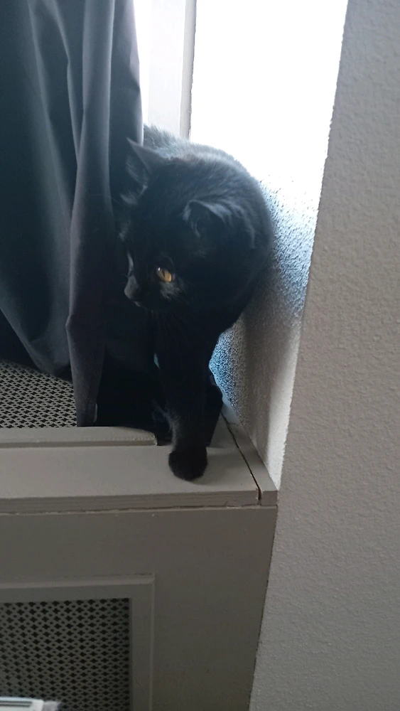 GIF ajouté par Stephe