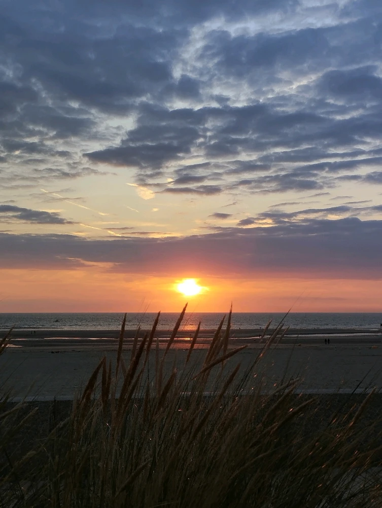 GIF ajouté par Coralie