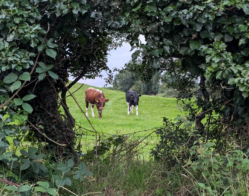 GIF uploaded by Graeme