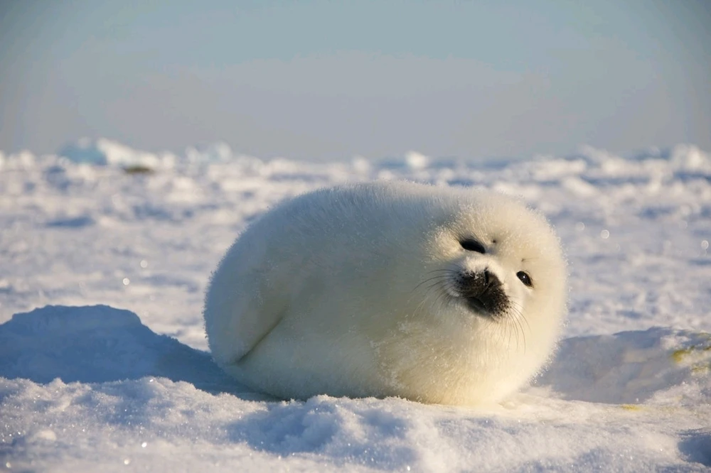 GIF uploaded by Drew