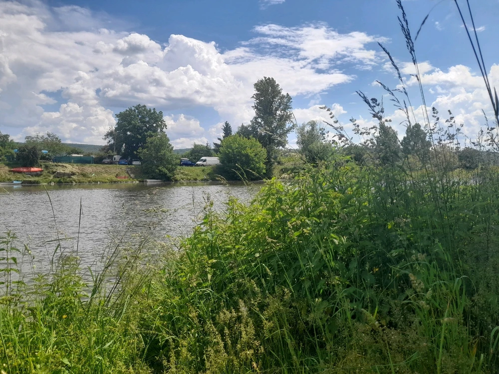 Beautiful summer on the outskirts of Prague.