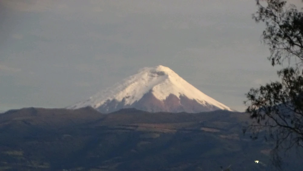 GIF subido por Monica