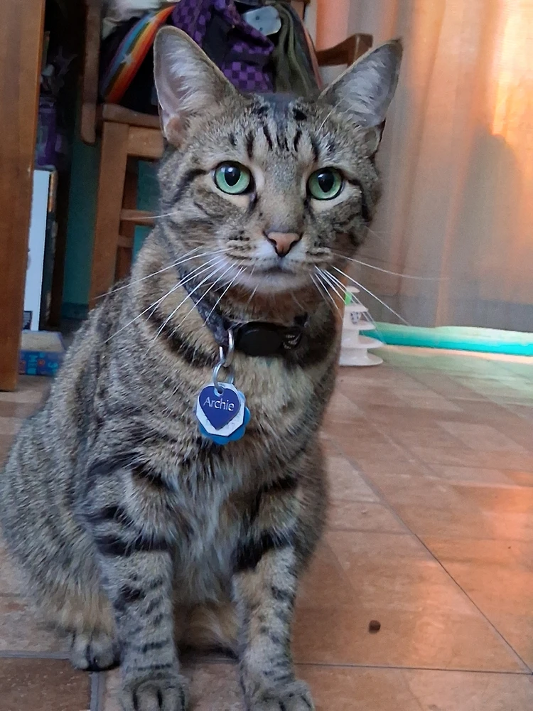 GIF uploaded by Pearl