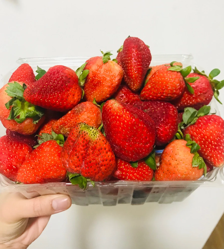 🍓🍓🍓
