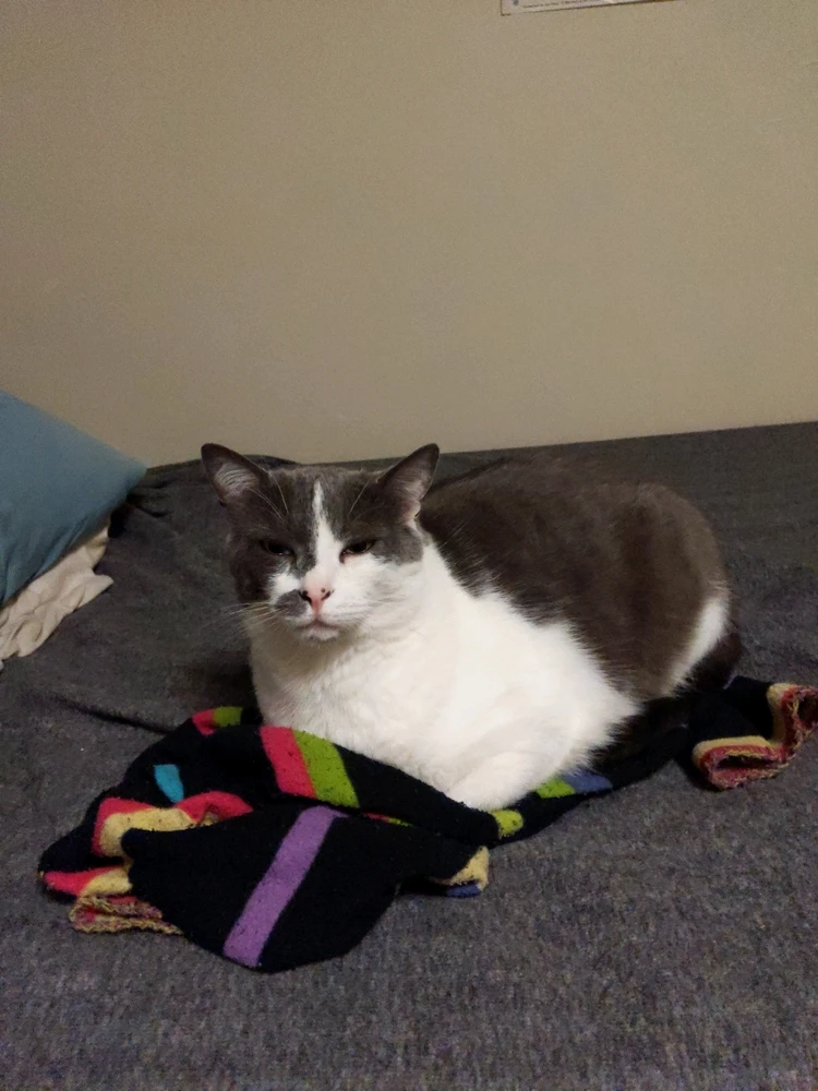 GIF uploaded by Mark