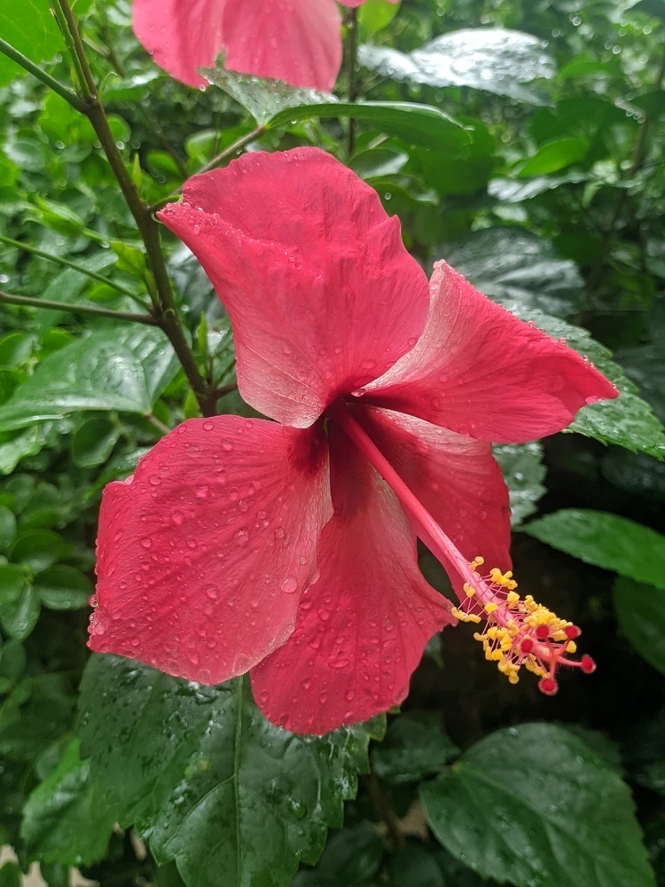 GIF uploaded by 🖤 Michel