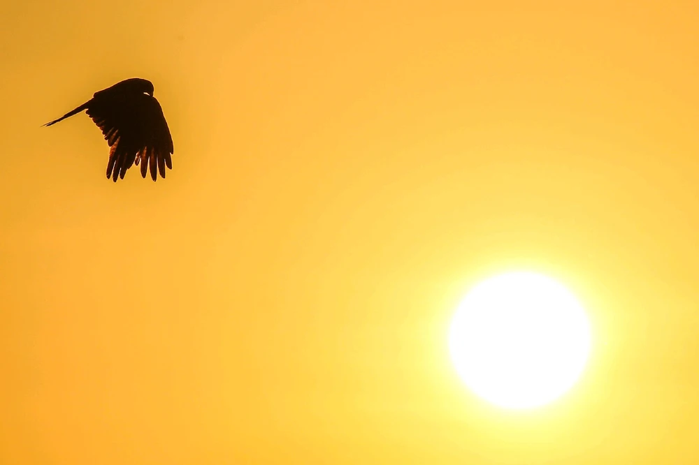 GIF uploaded by Kris