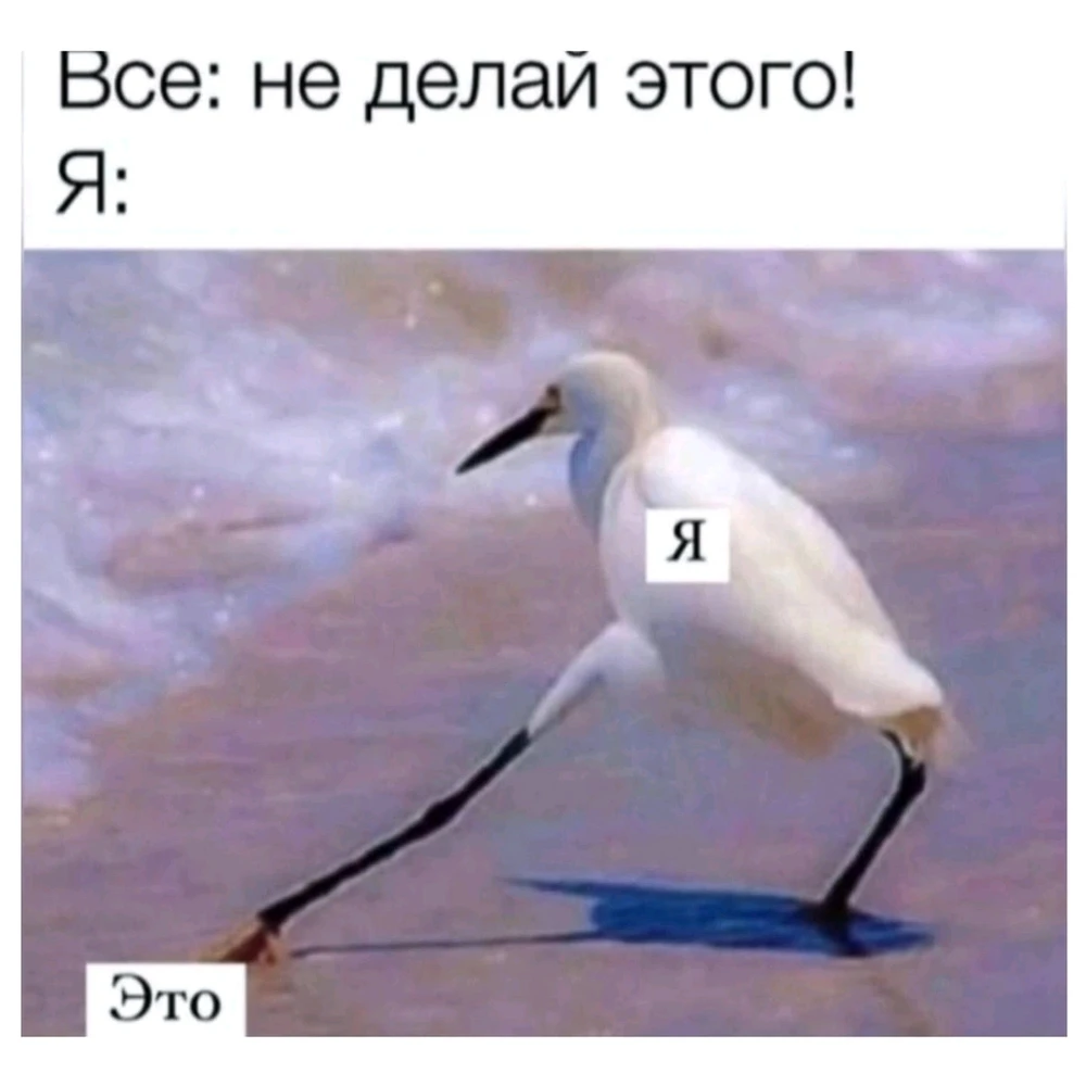 GIF загрузил Juliya