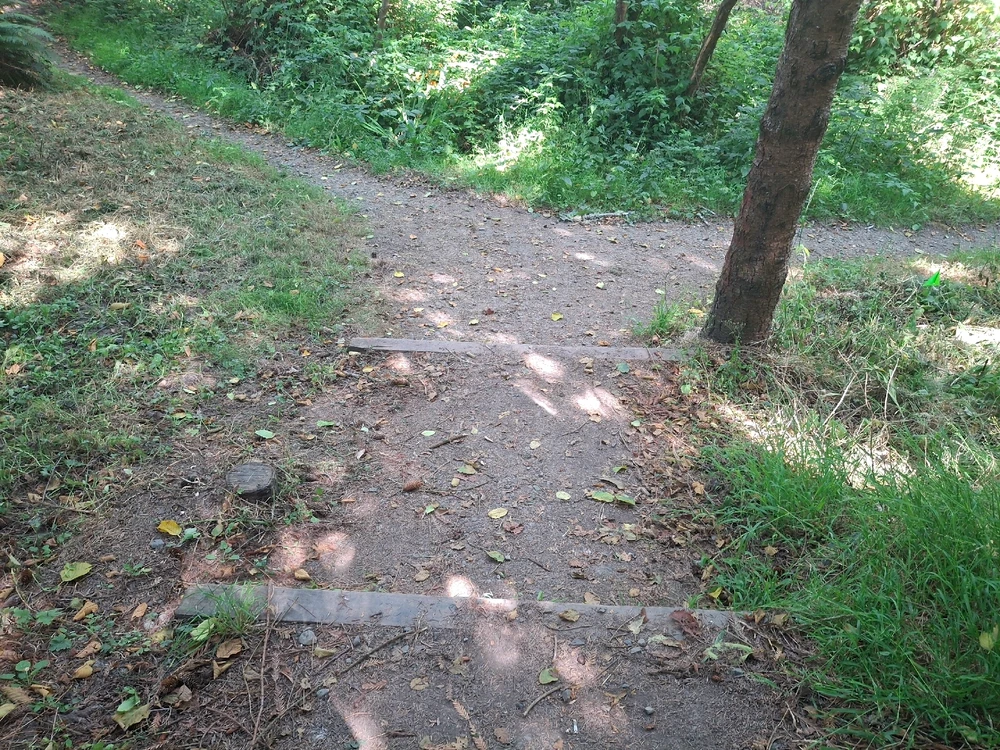 由Benjiggity上传的图片