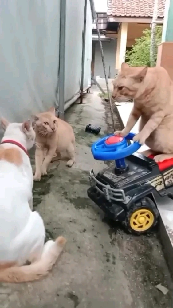 GIF uploaded by Mo