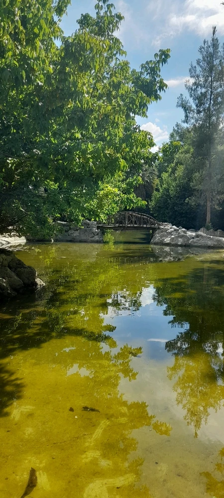 GIF ανέβηκε από George