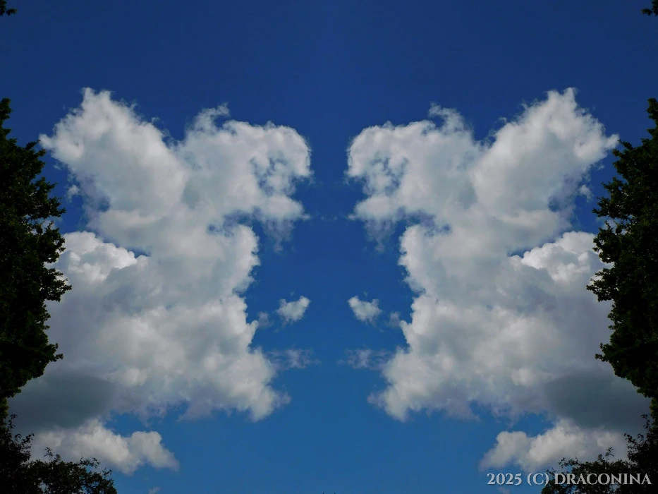 Zdjęcie dodane przez Czarna_Kosmitka