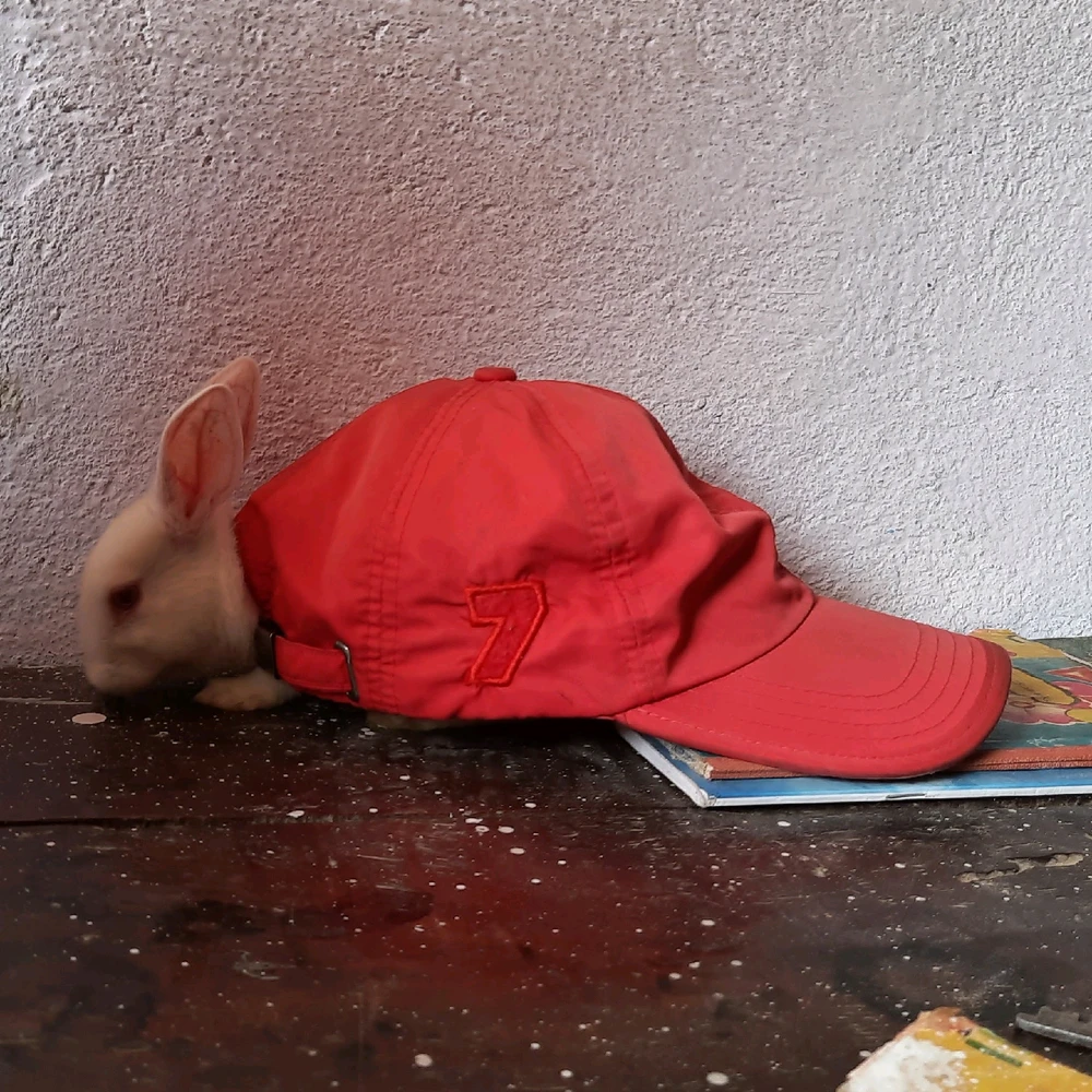 GIF uploaded by Shubh