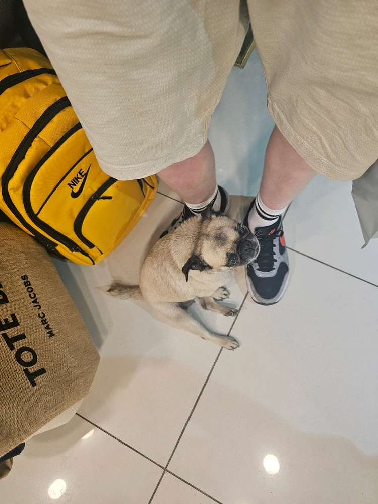 Image uploaded by Todd