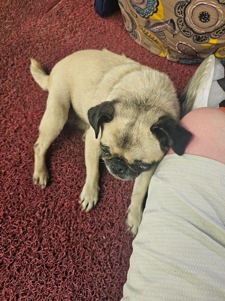 Image uploaded by Todd