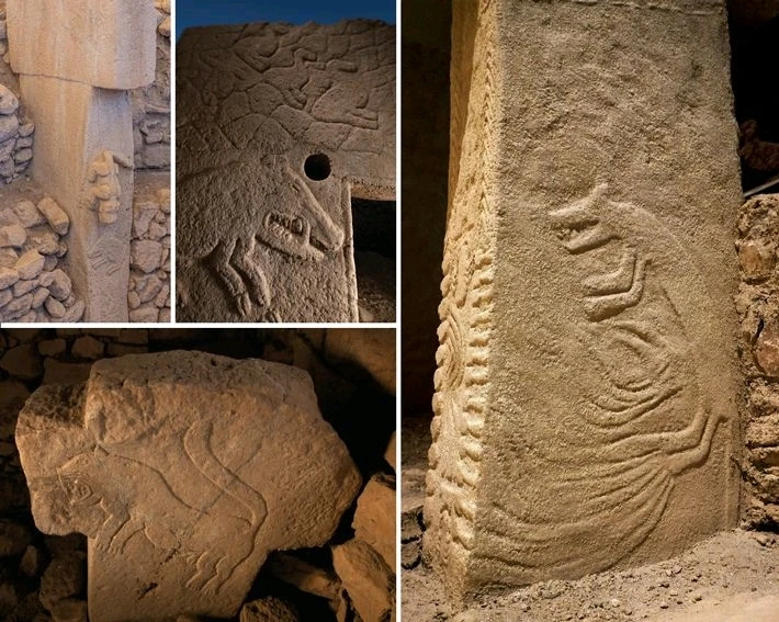 Image uploaded by Erich