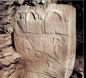 Image uploaded by Erich