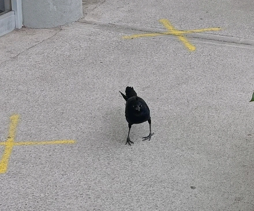 GIF subido por Isaac