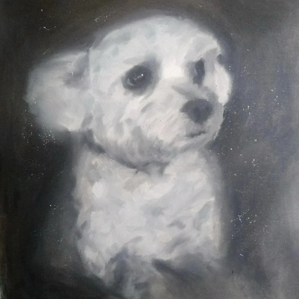 GIF uploaded by Syon