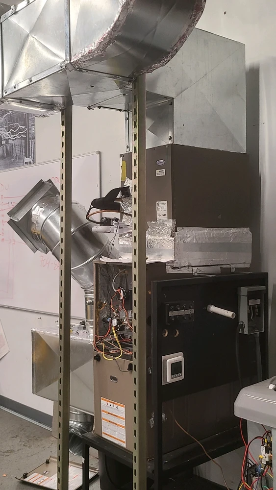 Image uploaded by Robert Wolf