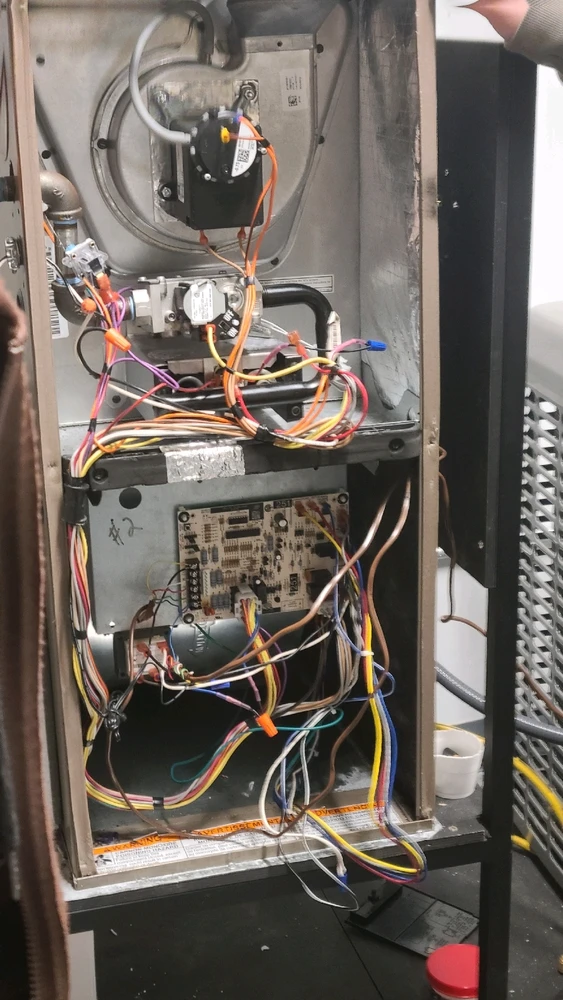 Image uploaded by Robert Wolf