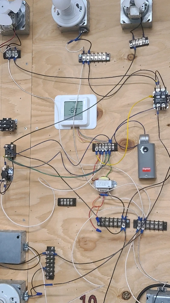 Image uploaded by Robert Wolf