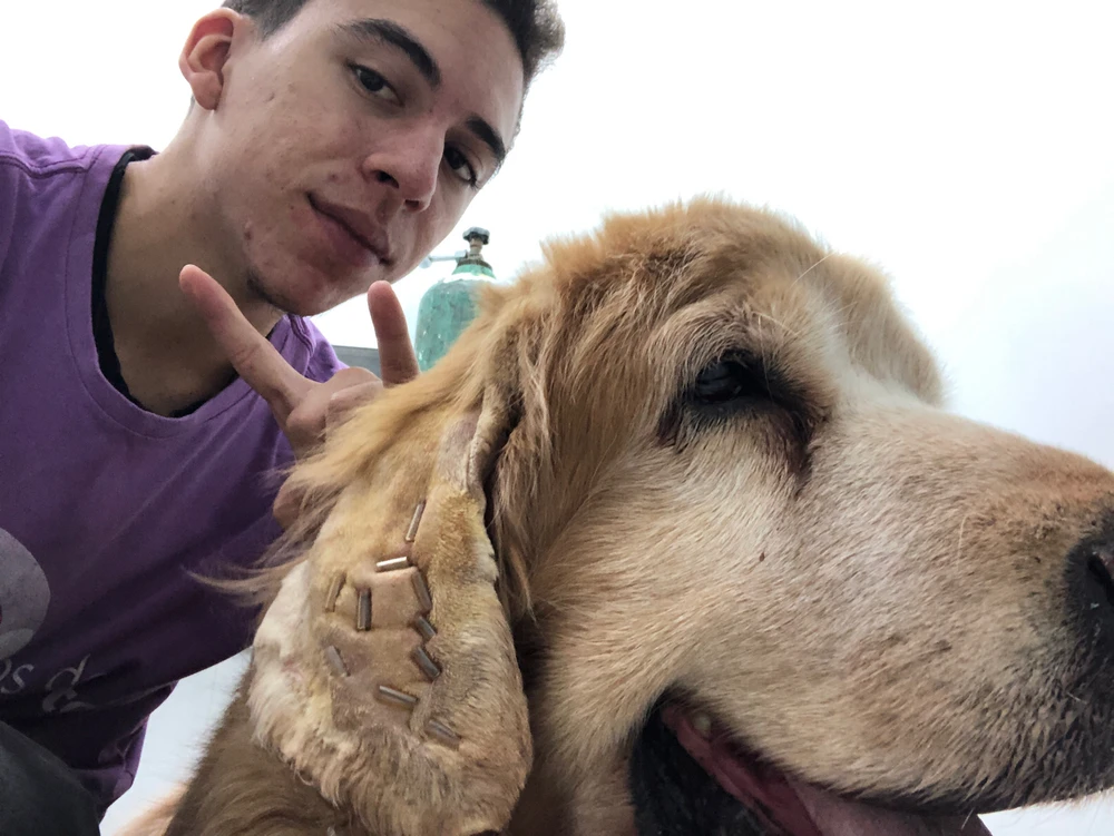 GIF enviado por Italo