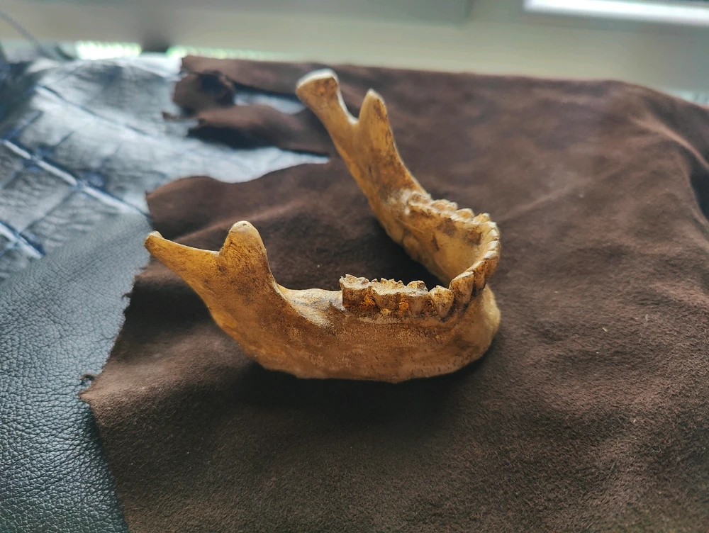 Image ajoutée par Denis