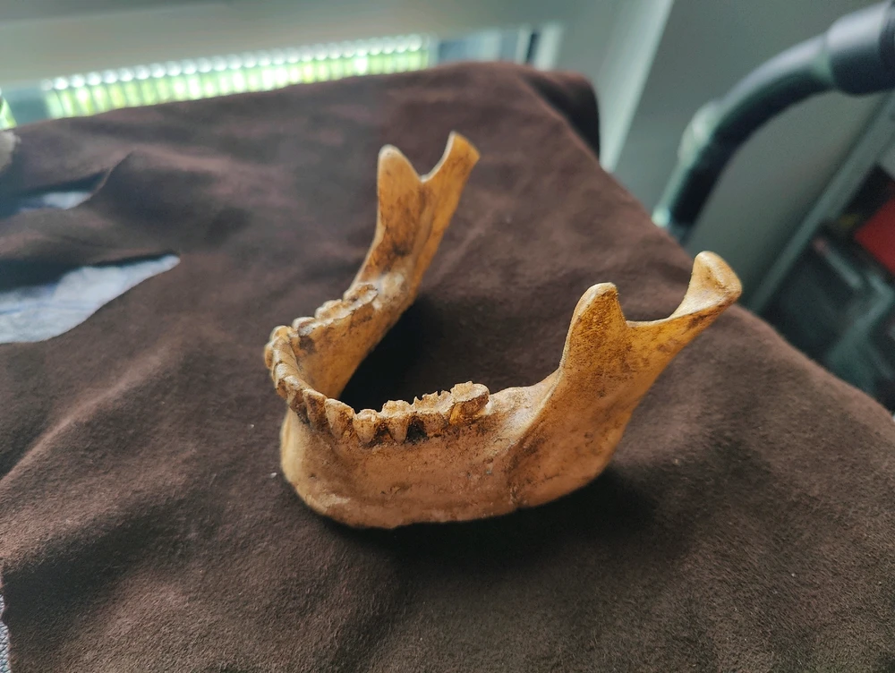 Image ajoutée par Denis