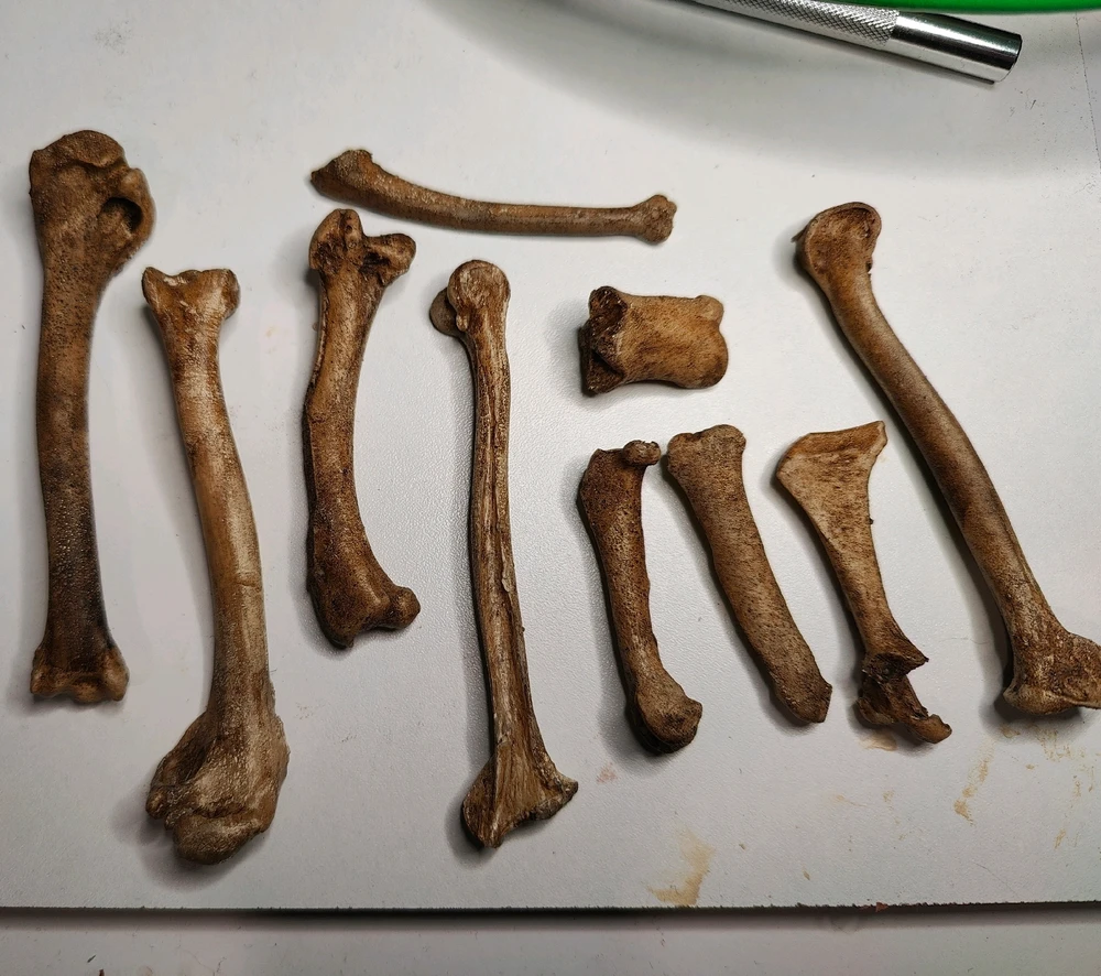 Image ajoutée par Denis