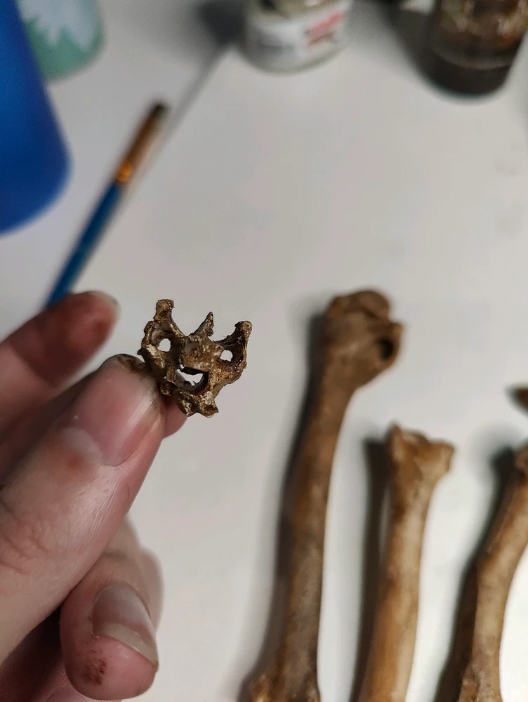 Image ajoutée par Denis