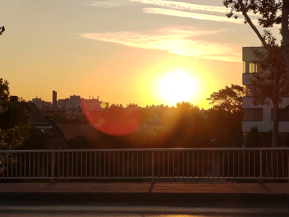 Dani által feltöltött kép