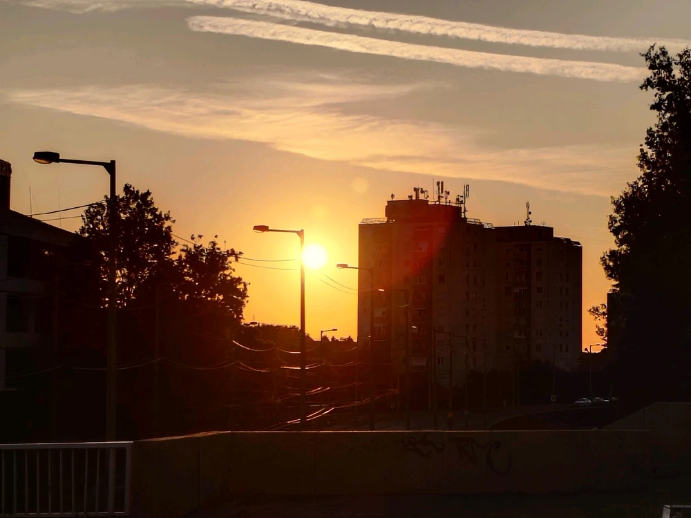 Dani által feltöltött kép