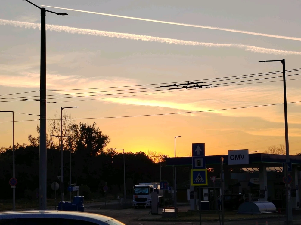 Dani által feltöltött kép