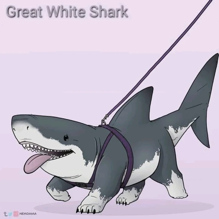 Image uploaded by Joshua