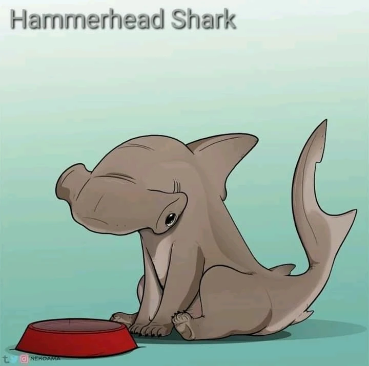 Image uploaded by Joshua