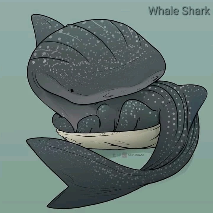 Image uploaded by Joshua