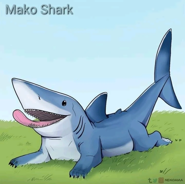 Image uploaded by Joshua