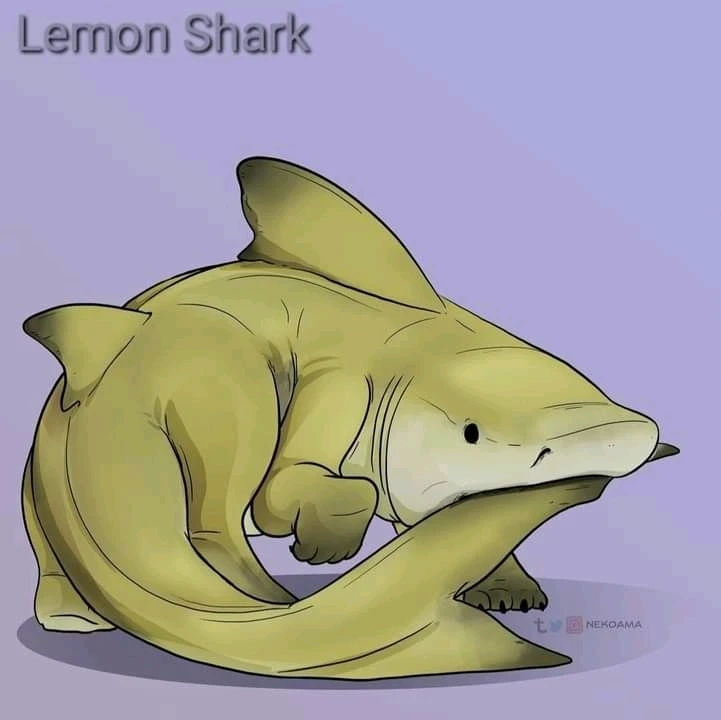 Image uploaded by Joshua