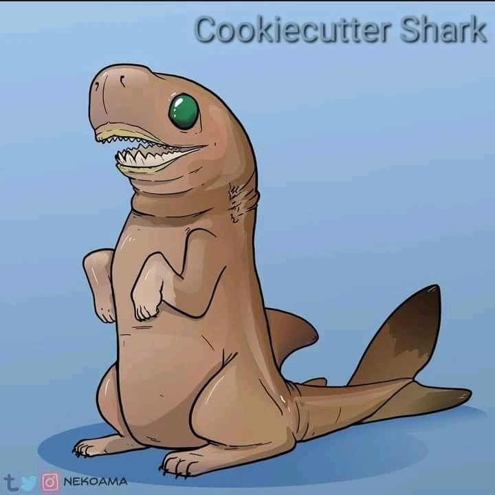 Image uploaded by Joshua