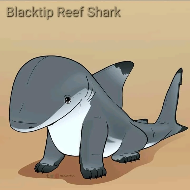 Image uploaded by Joshua